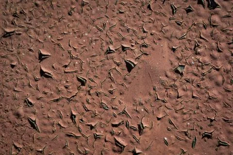 Old rusty metal background Stock Photos
