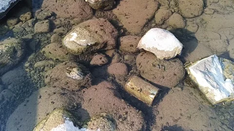 Old rusty metal tin can immersed under clear, shallow water Vidéo 345569401