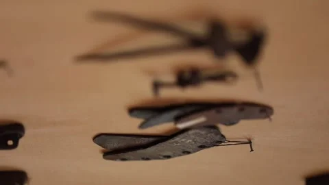 Old rusty metal tools 1 Video stock 329389070