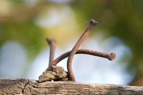 Old rusty nail. macro Stock Photos