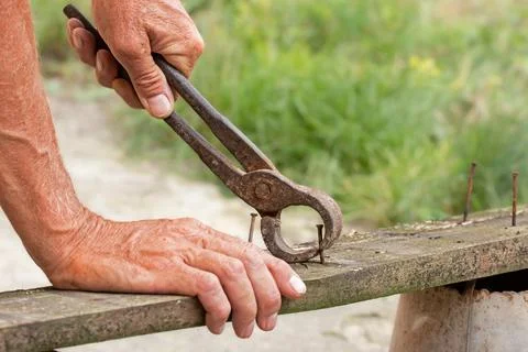 Old rusty nail puller. Small carpentry work in the workshop. Home renovation. Stock Photos