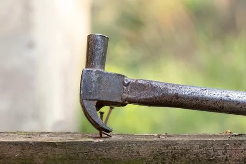 Old rusty nail puller. Small carpentry work in the workshop. Home renovation. Fotos Stock