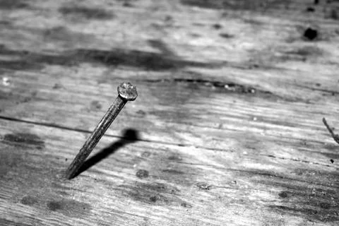 Old rusty nail stuck on a board Stockfoto's
