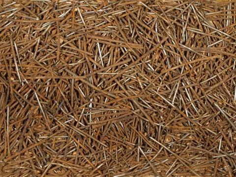 Old rusty nails of different sizes. Foto stock
