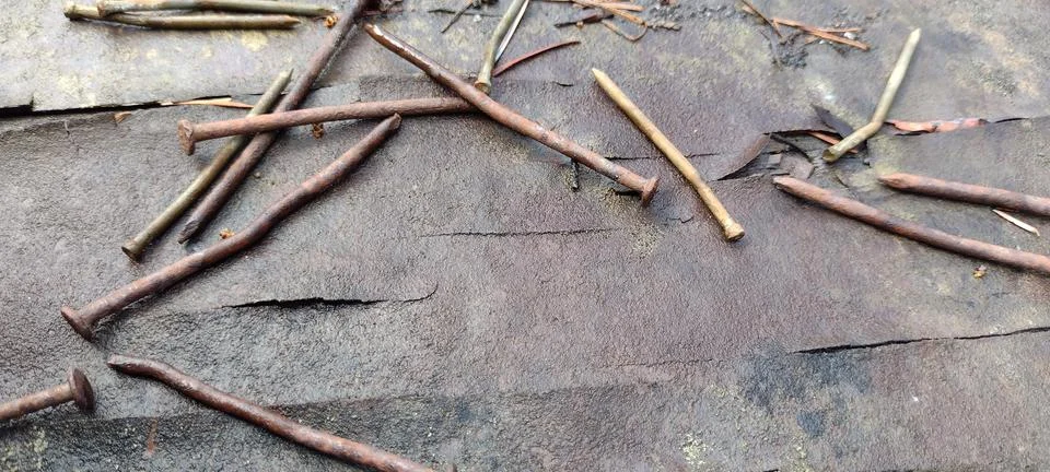 Old rusty nails laying on rustic dark surface room for text Stock Photos