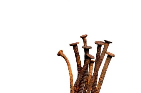 Old rusty nails on white isolate Stock Photos