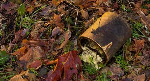 Old rusty paint can lying on the forest floor surrounded by leaves Stock Photos