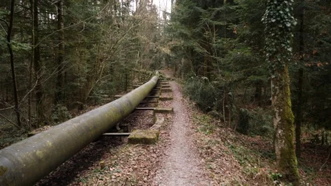 Old, rusty, pipeline in a moody forest in Switzerland, forward dolly shot Stock Footage 149867879