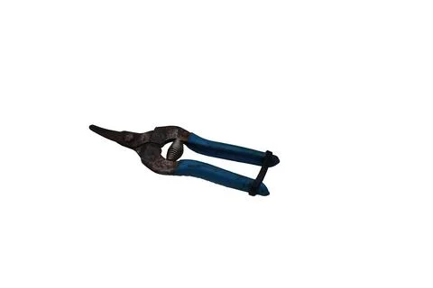 Old rusty pruning shears with blue handles and a spring mechanism Stock Photos