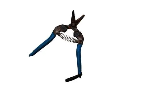 Old rusty pruning shears with blue handles and a spring mechanism Stock Photos