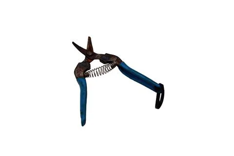 Old rusty pruning shears with blue handles and a spring mechanism Stock Photos