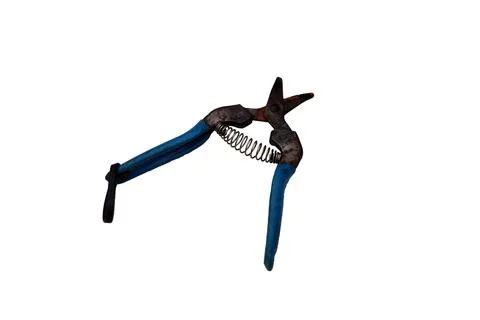 Old rusty pruning shears with blue handles and a spring mechanism Stock Photos