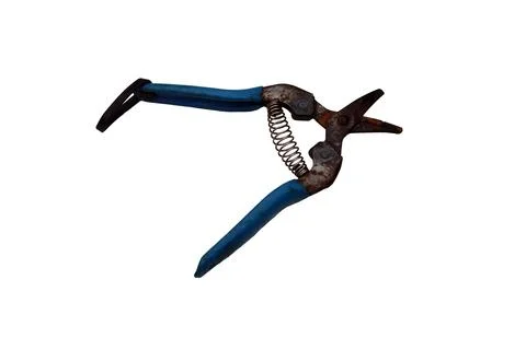 Old rusty pruning shears with blue handles and a spring mechanism Stock Photos