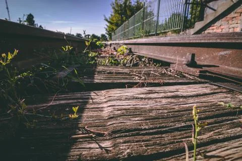 Old rusty railway with greens - LOW shot railway photo Stock Photos
