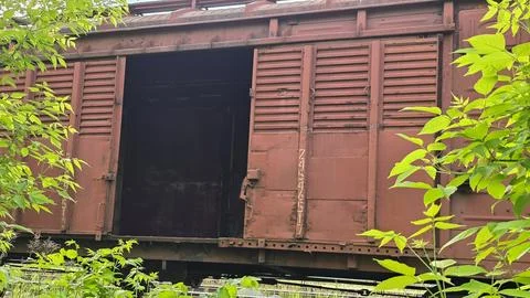 Old rusty red freight train car with open door surrounded by fresh green le.. Stock Photos
