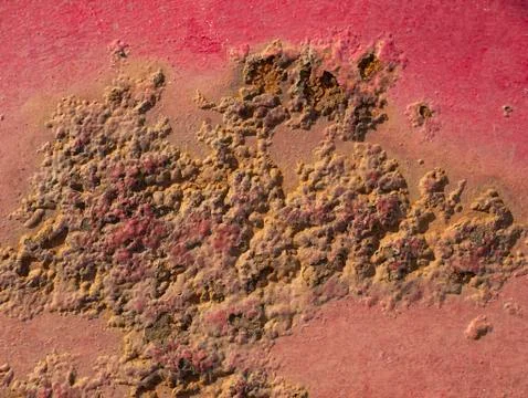 Old rusty red painted sheet. Rust craked the paint Stock Photos