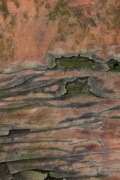 Old Rusty Retro Background in Vertical position Stock Photos