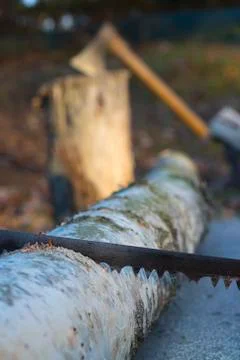 An old rusty saw and an axe Stock Photos