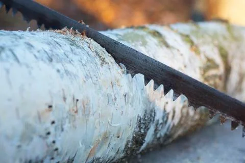 An old rusty saw Stock Photos