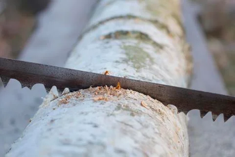 An old rusty saw Stock Photos