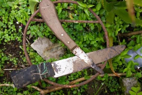 Old rusty scissors on the background of green grass in the garden Stock Photos