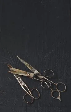 Old rusty scissors Stock Photos