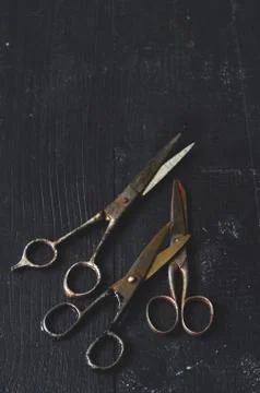 Old rusty scissors Stock Photos