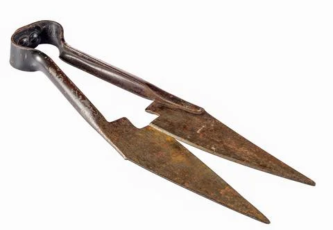 Old rusty scissors for shearing isolated on white Stock Photos