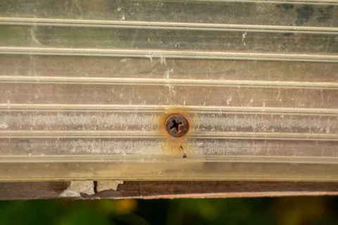 Old rusty screw fixed in a weathered translucent plastic greenhouse panel Stock Photos