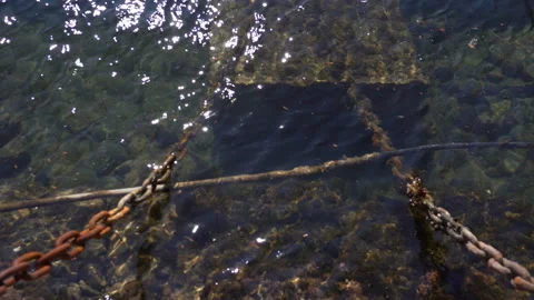 Old rusty ship chain overgrown with algae. sea water with sun reflections Stock Footage 105383924