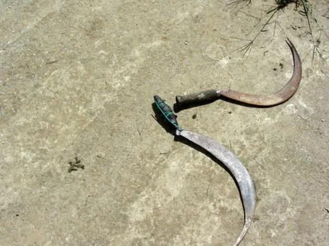 Old rusty sickles Stock Photos