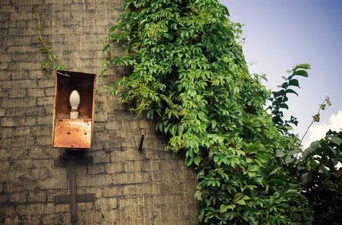 The old rusty soviet lantern on a grey brick wal with green plants Foto stock