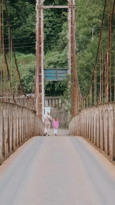 Old rusty suspension bridge with iron railings and cables surrounded by lush Stock Footage 315873120