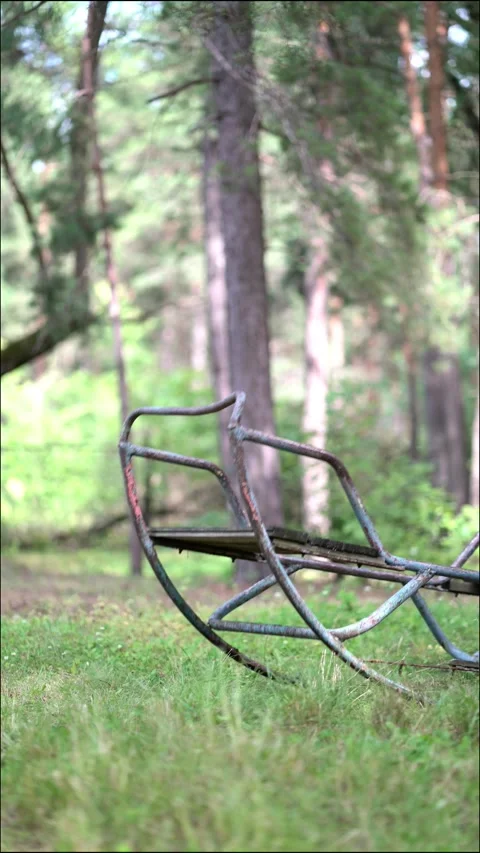 Old rusty swing gently sways in a peaceful forest clearing. Stock Footage 338415528