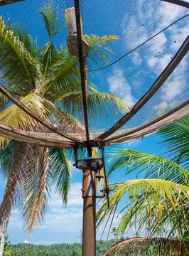 An old, rusty television dish set against a backdrop of coconut trees Stock Photos