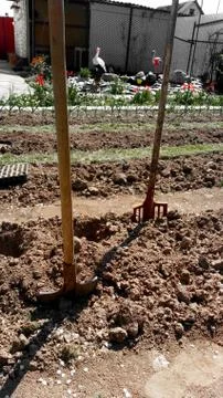 Old rusty tools, tools for working in the garden. Stock Photos
