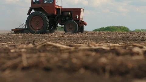 Old rusty tractor with a roller works in the field Stock Footage 148143759