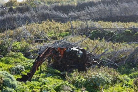 An old rusty tractor sitting in a field next to a bush Stock Photos