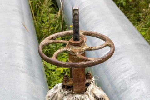 Old rusty valve close up on greenery background. Foto stock