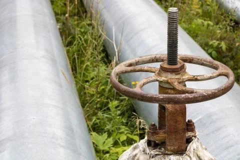 Old rusty valve close up on greenery background. Stock Photos