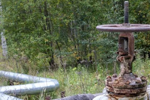 Old rusty valve close up on greenery background. Stock Photos