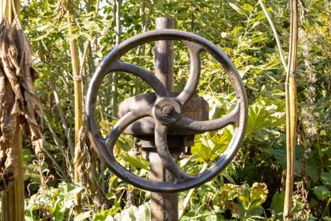 Old rusty valve close up on greenery background. Foto stock