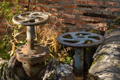 Old rusty valve close up on greenery background. Foto stock
