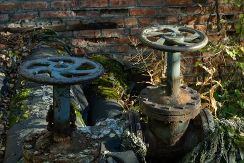 Old rusty valve close up on greenery background. Foto stock