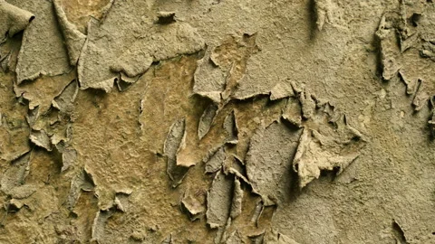 Old rusty wall. Dried paint rots and leaves the wall. Rotation wall background Stock Footage 99394789