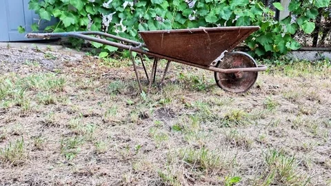 Old Rusty Wheelbarrow Standing in an Overgrown Rural Garden Yard Vídeos de archivo 346201441