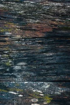 Old rusty wood panel Stock Photos