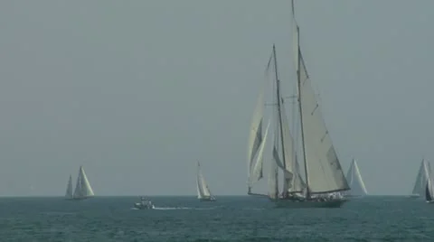 Old sail regatta 07 Video stock 12719897