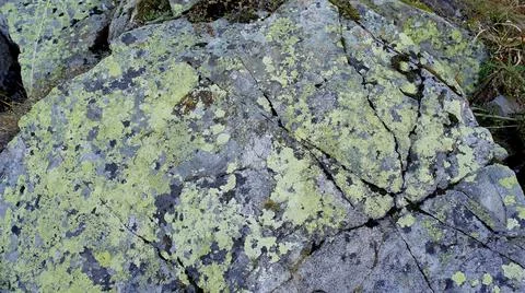 Old sandstone with an interesting pattern and overgrown with green lichen Stock Photos