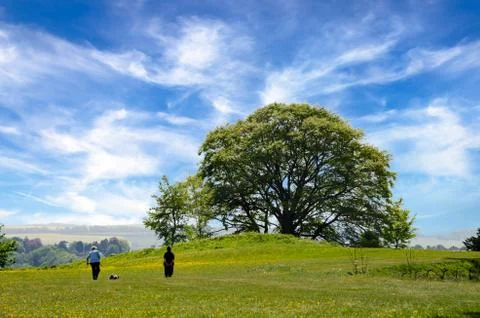 Old Saram With Green Grass And Blue Sky Stock Photos
